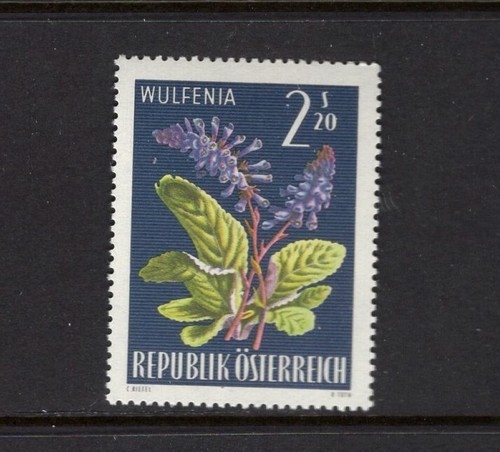 Austria 1966 fiori alpini - 1966,