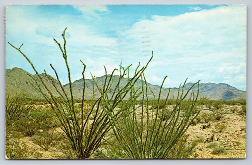 Cartolina 1969 pianta - , di