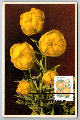 5678 alpine buttercup fdc - alpine,