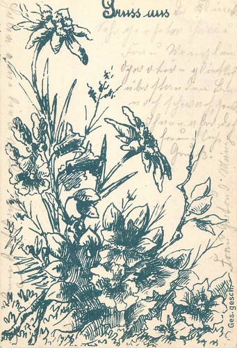 Saluto dai fiori - , alpini