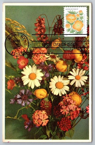 5678 alpine buttercup fdc - #5678,